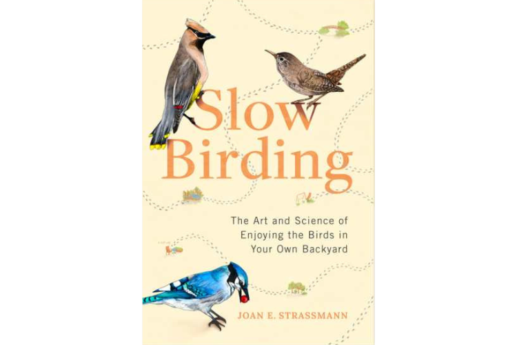 Slow Birding: The Art and Science of Enjoying the Birds in Your Own Backyard
