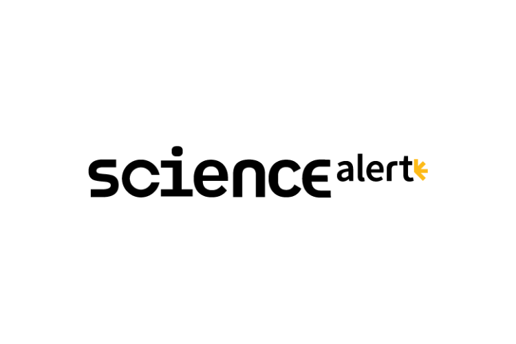 ‘The Science of Cats’ Is a Real Class You Can Take: Here’s The Outline